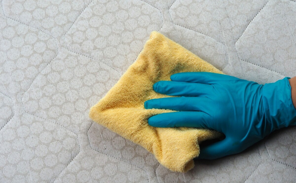 Lo Que Se Esconde en Tu Colchón: Por Qué Debes Limpiarlo y Cómo Hacerlo Correctamente